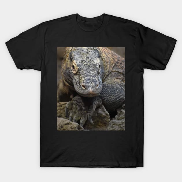 Komodo Dragon T-Shirt by Sharonzoolady